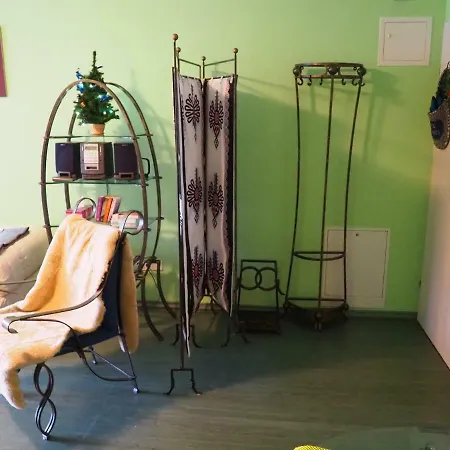 Apartament Zielone Studio-2